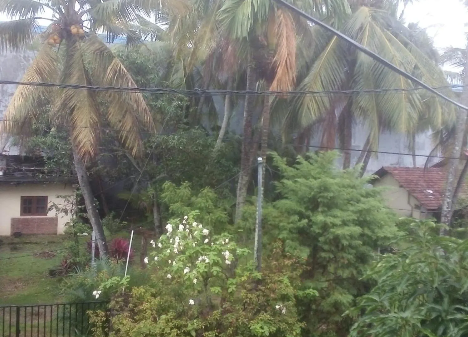 Sunrise City Palace Negombo 0*,